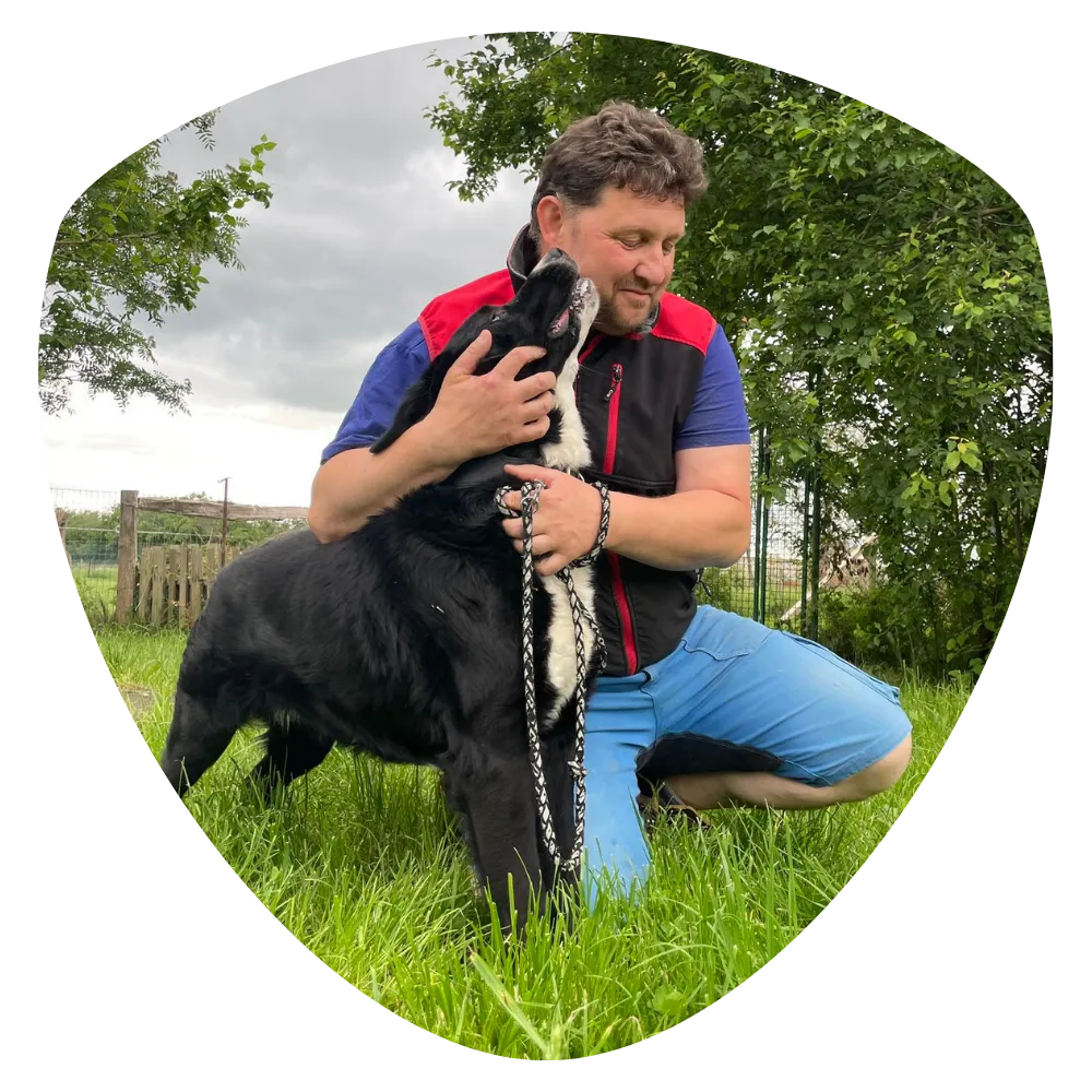Pečujeme o psy a kočky